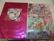 包郵［日版］種村有菜 20 +25 週年展 櫻姫華傳 透卡十㯲章