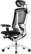 Ergonomic Office Chair Breathable Mesh Boss Chair with 5D Armrests, Sedentary Comfort Computer Chair with 3D Headrest,Adjustable Lumbar Support */1617 (Color : Black, Size : No)