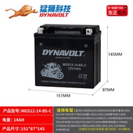 แบตเตอรี่มอนสเตอร์บิ๊กฟุต gv300s 250 gt650r gv350s GM300