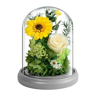 Hadiah Krismas DIY Abadi Bunga Sebenar Kaca Bunga Matahari Produk Siap untuk Orang Tua Hadiah Percut