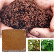 Organic Coconut Coir for Plants, Coconut Coir Bricks Bulk, Potting Soil, Concentrated Seed Starting Mix, Cactus Soil Potting