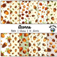 12 Sheets 8x8 Acorns by byte studio | Cardstock Craft Paper Junk Journal Stationery