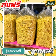 J&N ทุเรียนทอด ทุเรียนทอดจันทบุรี เกรด C ทุเรียนทอดกรอบ ทุเรียน หมอนทอง ส่งฟรี ราคาถูก ขายดี