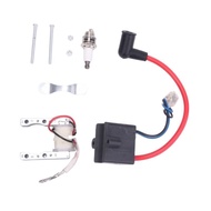 【MT】 Motorcycle Stator Coil Ignition Assembly Set for 49cc 60cc 80cc Modification