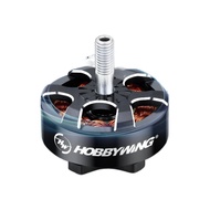 Hobbywing XRotor Lotte 2807 2812 3110 3115 Motor Model Aircraft FPV Through Machine Drone Motor