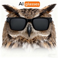 800W Pixel AI Video Smart Glasses with Camera Photo Recording Glasses AI Translation Identification 