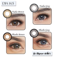 Angel zone รุ่น Phoebe Nadia  สีน้ำตาล สีเทา คอนแทคเลนส์รายเดือน ขนาดเท่าตา คอนแทคเลนส์ Angelzone an