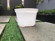 Pot bunga Murah /Pot Tanaman / Pot Plastik PUTIH  uk 101517K17B &amp; 20 cm