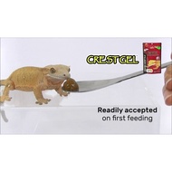 Hikari CrestGel | Day Gecko | Crested Gecko | Gargoyle Gecko