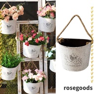 ROSEGOODS1 Flower Pot Home Decoration Iron Flower Holder Wall Mounted