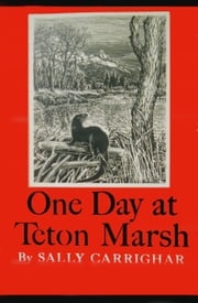 One Day At Teton Marsh Sally Carrighar