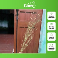 Pearl branches (whole branches)