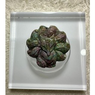 Ruby Zoisite 9 Tail Fox Pendant