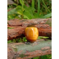 BIDURI SEPAH Ring Stone..