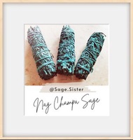 Nag Champa Sage🇺🇸美國空運抵港🗽