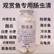 Intestinal worm clear fish medicine 1 Capsule rm0.60 Intestinal worm clear fish medicine enteritis m