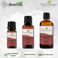 Plant Therapy Frankincense Serrata Essential Oil