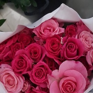bunga mawar asli bunga mawar segar bunga mawar potong ♦♦