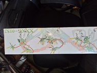 初版超新星-雙龍