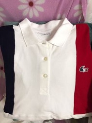 Lacoste polo-Shirt 鱷魚牌有領衫