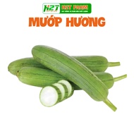 Seeds of Luffa, Japanese Luffa, Bitter Melon, Apple Luffa, Super Long Luffa, Top Luffa, Jade Gourd -