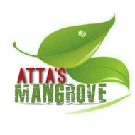 MANGROVE TOUR LANGKAWI