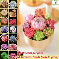 [Fast Delivery] Mixed Rare Succulent Seeds for Sale (100 seeds/pack) - Bonsai Seeds for Planting Flowers Potted Succulents Live Plants Ornamental Plant Seeds High Germination Rate Garden Flower Seeds Easy To Grow Singapore Indoor Oudoor Real Air Plants