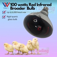 100W/150W Red Infrared Heater Bulb Pig farm roasted red infrared replacement light bulb Heat Light