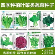 Four Seasons Leaf Vegetable Seeds Vegetable Seeds Potted Cabbage Radish Vegetable Seeds Lettuce Gree