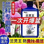 【有機肥】【花肥】蘭靈王蘭花專用營養液 肥料 EM菌君子蘭科蝴蝶蘭墨蘭促活化劑陵正牌