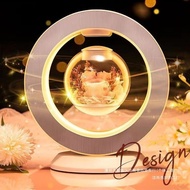 520 Valentine's Gift for Girlfriend Wife Wife Wedding Anniversary Birthday Magnetic Levitation Prese