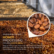 [PREMIUM] Weasel Flavored Coffee (Gold) Roasted Moc Beans (200g) Ban Me Gold 100% Genuine Weasel Cof