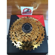 SPROCKET SPROCKET RAZE 8 SPEED 11 - 36T GOLD