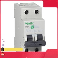 EZ9F34263 Aptomat MCB Schneider 2 Pole 63A Smart.hcm