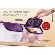 ( NEW ) TUPPERWARE Garlic N All Keeper - Bekas Letak Bawang 3.0L (1pcs)