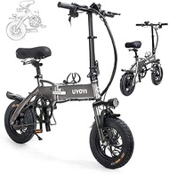 Tricycle Adult Electric Ebikes Folding E-Bike Electric Bike 250W Aluminum Electric Bicycle Adjustable Lightweight Magnesium Alloy Frame Foldable Variable Speed E-Bike with LCD Screen for Adults And T