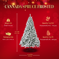 ต้นคริสต์มาส Canada Spruce Frosted - Christmas Tree | H 210cm.