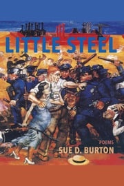 Little Steel Sue D. Burton