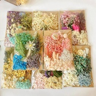 Floral Material Package Immortal Dried Flower Material Handmade Dried Flower Small Bouquet Natural R