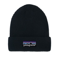 Patagonia Everyday Beanie Hat
