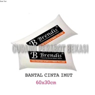 BRENDIS cute love pillow size 30x60
