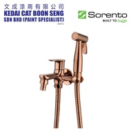 Sorento Stainless Steel 304 Colour Finishing Bathroom Toilet Two Way Bidet Set SRT105-RG/SRT104-GY/S