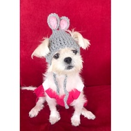 Bunny Pet Hat for dog & cat