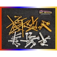 🔩 🇹🇭 SKRU SC SIAM ORIGINAL SILVER GOLD CNC SOLID COLOUR/WARNA MULTIPURPOSE/PELBAGAI GUNA SAIZ 10 12 