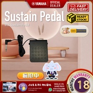 BSL Sustain Pedal ( bsl sustain pedal / Bsl sustain pedal / sustain pedal / delay pedal / BSL pedal 