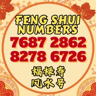 福禄寿 风水号码 7687 8278 2862 6726 超强能量数字组合 FengShui Number
