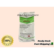 250G/1KG ALIETTE BAYER FOSETYL-ALUMINIUM 80% RACUN KULAT / KANKER BATANG DURIAN