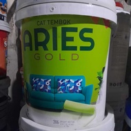 Aries Gold Pail Interior and Exterior Wall Paint