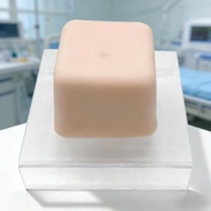 Model Ablasi Tumor Berpandukan Ultrasound | Ultrasound-Guided Tumor Ablation Model | 3 Tumor Untuk L
