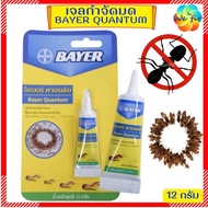 ส่งด่วน🎯 Bayer Quantum เจลกำจัดมด ควอนตั้ม 12 กรัม [ผลิต11/23] เหยื่อ กำจัดมด เห็นผลภายใน 24 ชม.